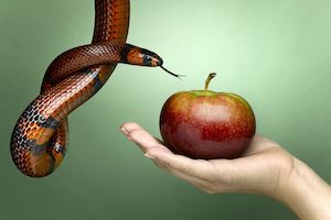 Purpose of Temptation